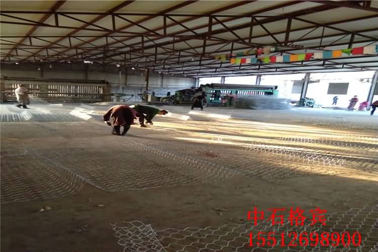 雙隔板雷諾護墊.jpg 雙隔板雷諾護墊.jpg