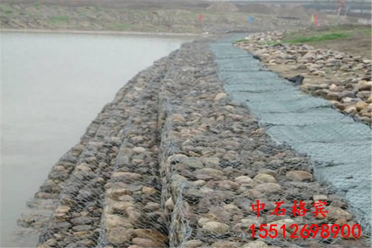 123133.jpg 123133.jpg